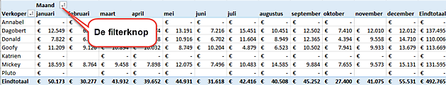 Filteren op waarden in draaitabel? ExcelXL.nl trainingen en workshops