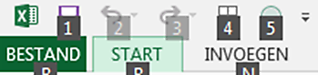 Aanpassen Werkbalk Snelle Toegang ExcelXL.nl trainingen en workshops