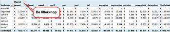 Filteren op waarden in draaitabel? ExcelXL.nl trainingen en workshops